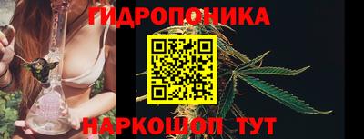 метадон Гусь-Хрустальный